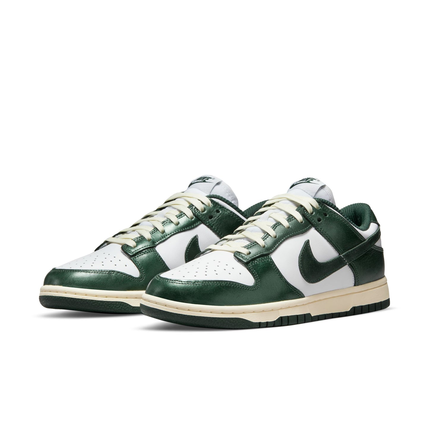 NIke Dunk Low DQ8580-100