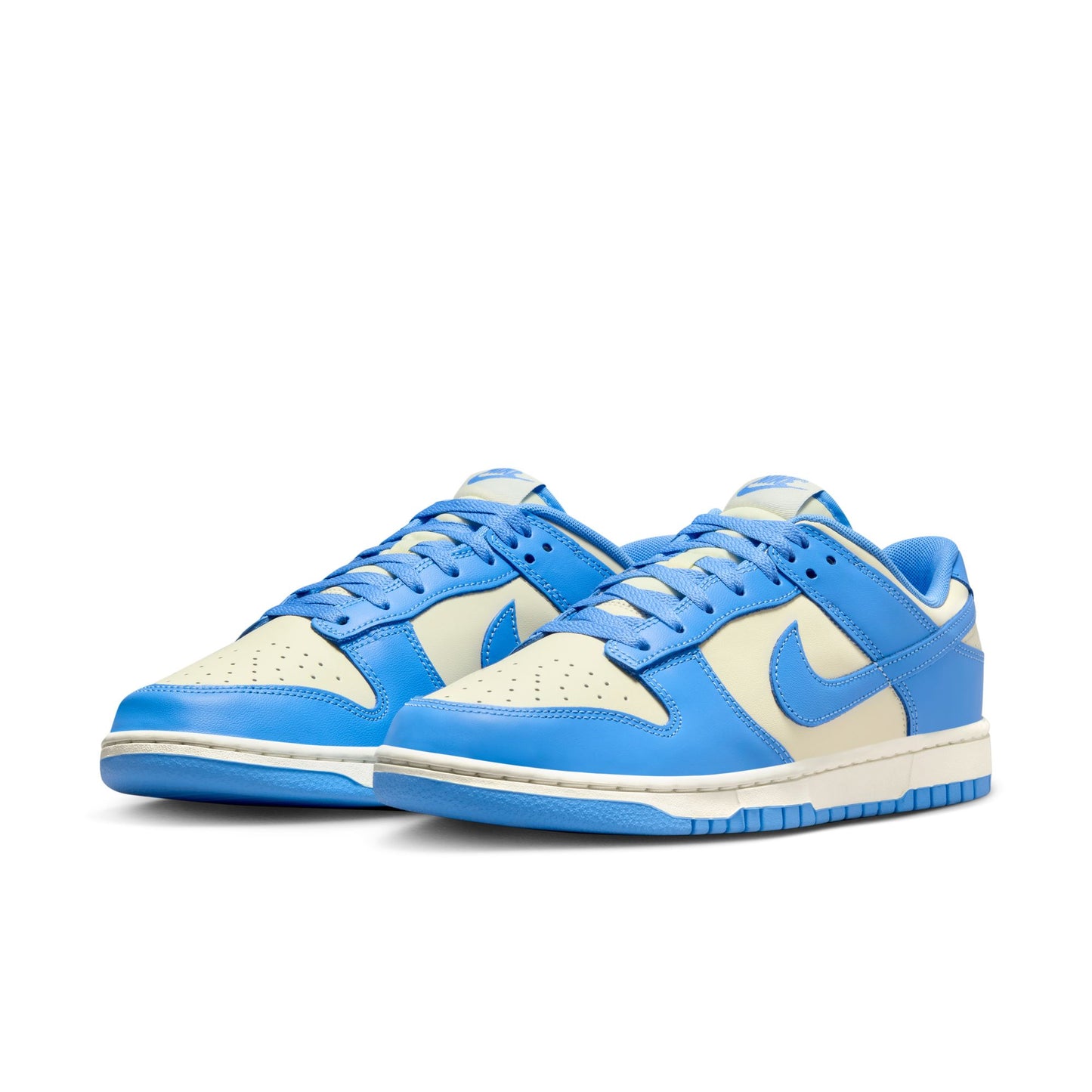 Nike Dunk Low Retro DV0833-113