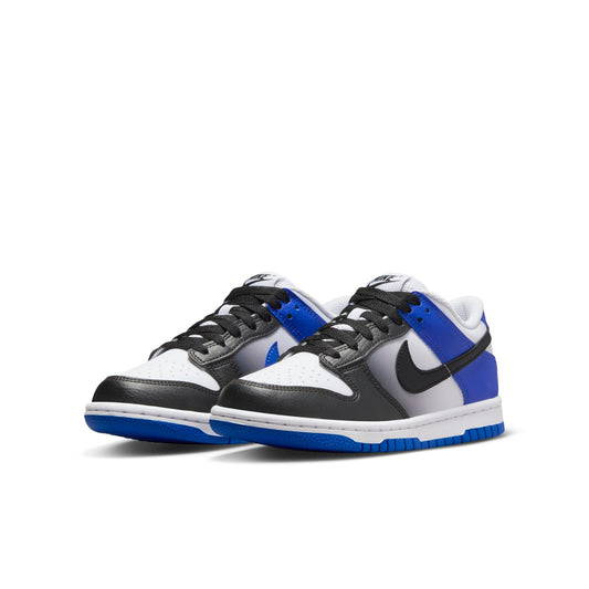 Nike Dunk Low HJ9209-400