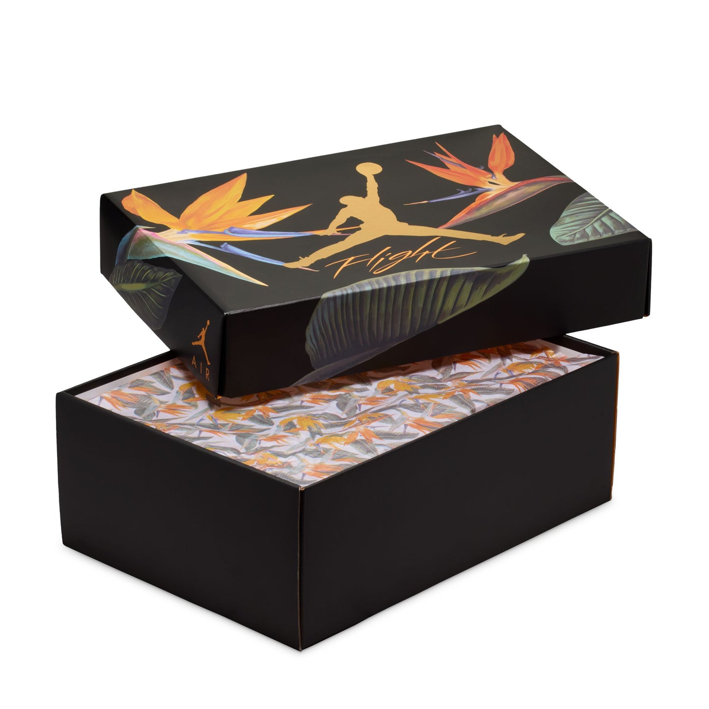 Air Jordan 4 Retro "Birds of Paradise" HV0823-101