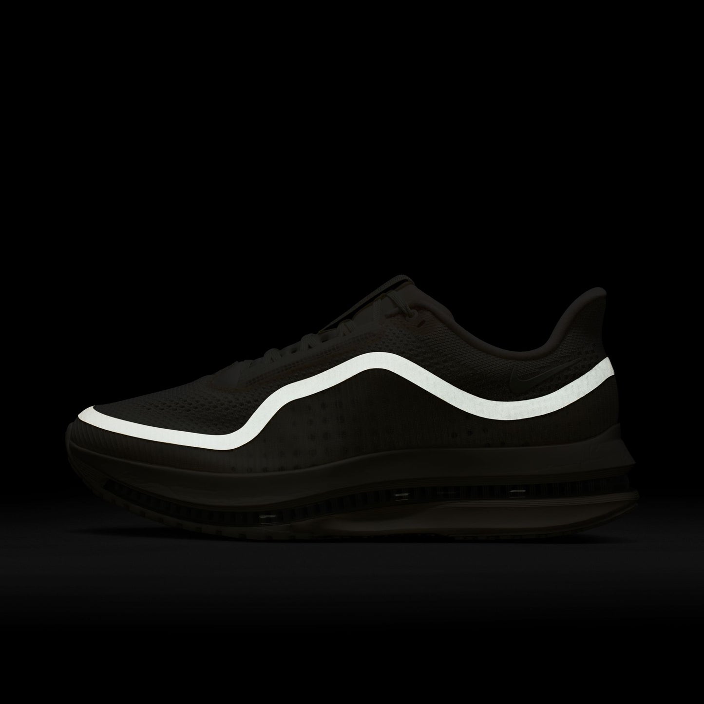 Nike Pegasus Premium IQ5691-100