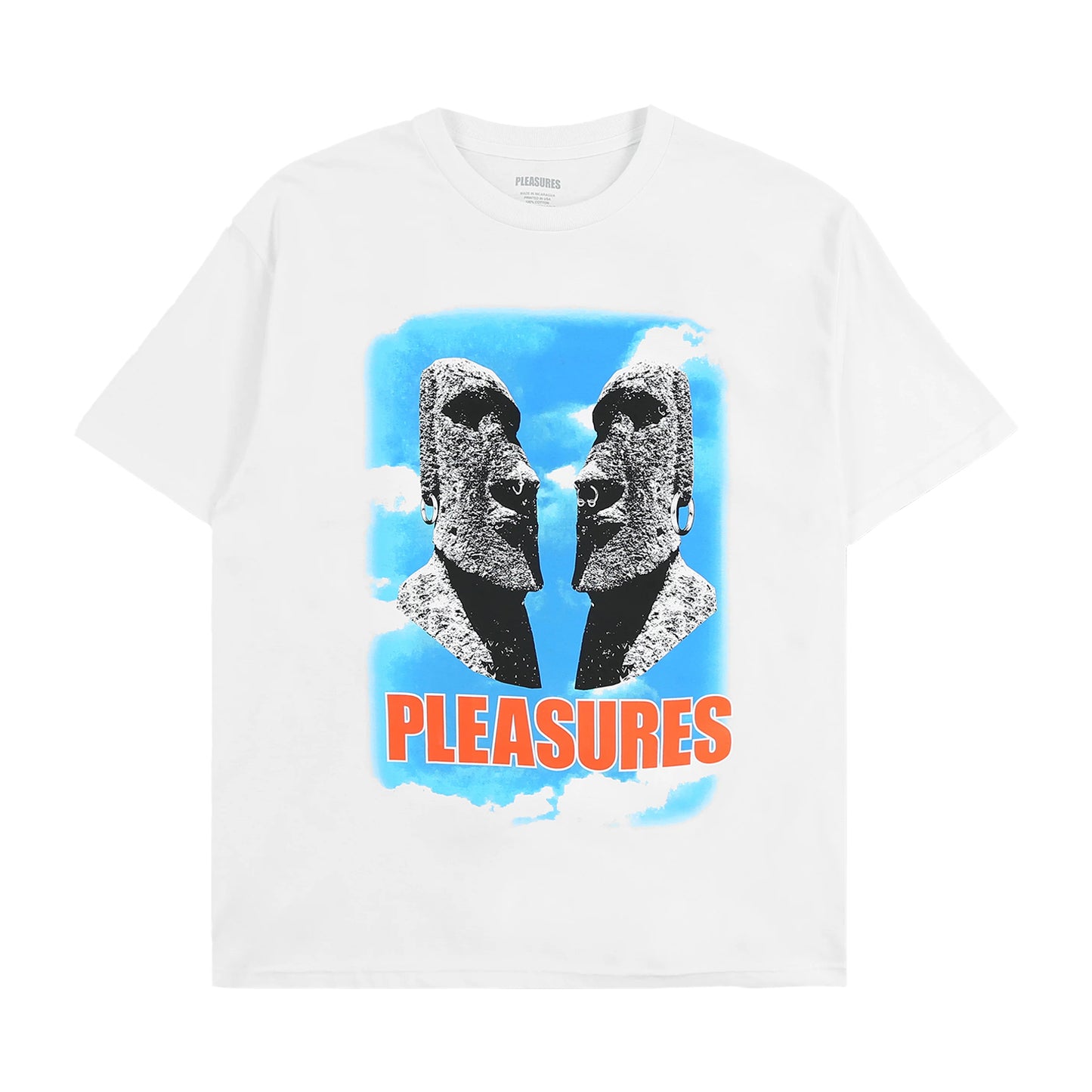 PLEASURES OUT OF MY HEAD T-SHIRT