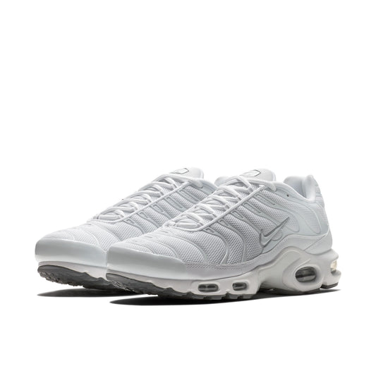 Nike Air Max Plus 604133-139