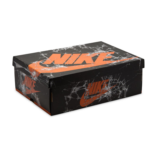 Air Jordan 1 Retro High OG "Shattered Backboard" DZ5485-008