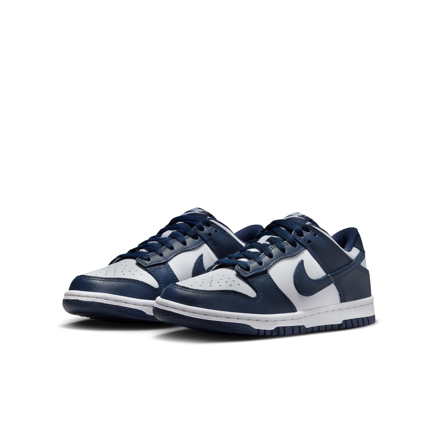 Nike Dunk Low FB9109-116