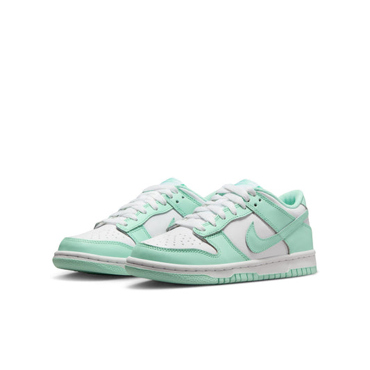 Nike Dunk Low FZ3534-100