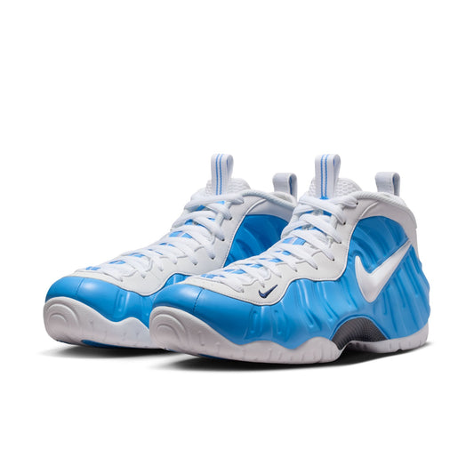 Nike Air Foamposite Pro HF0794-400