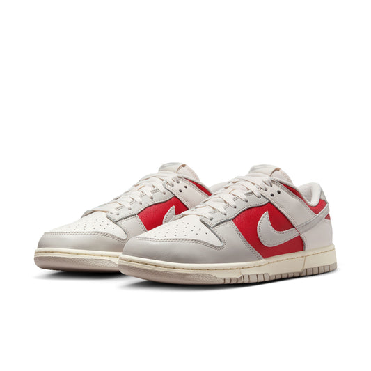 Nike Dunk Low Retro HJ9093-030