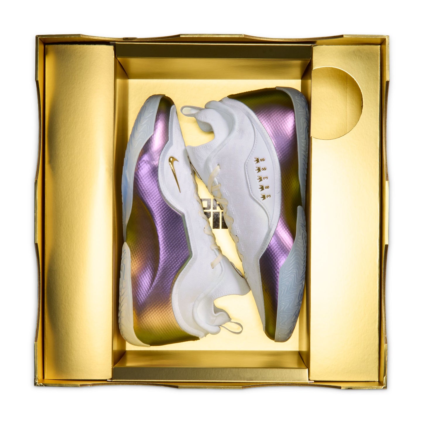 LeBron XXIII Elite "For the Record" IB9557-100