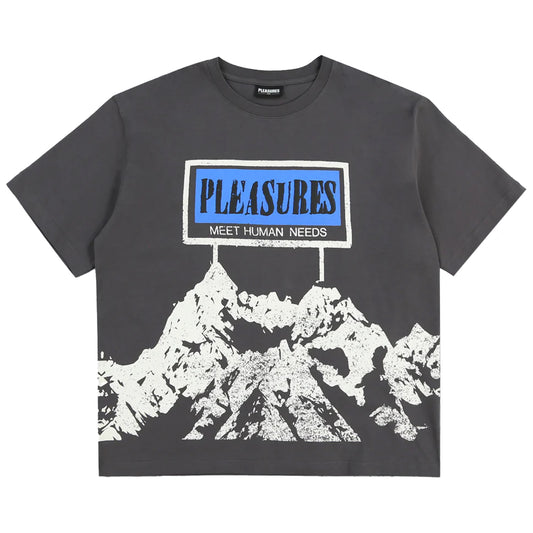 PLEASURES HUMAN NEEDS HEAVYWEIGHT SHIRT