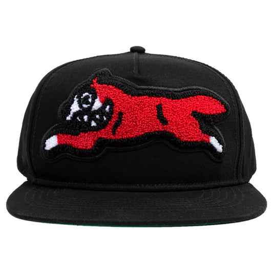 ICECREAM BARK SNAPBACK HAT